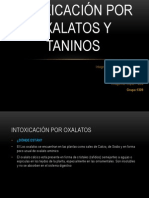 Intoxicación Por Oxalatos y Taninos