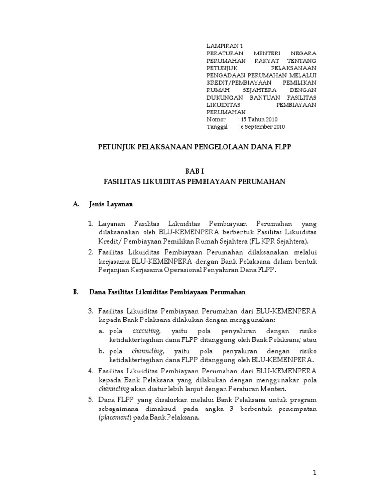 FLPP PDF