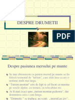 Despre Drumetii