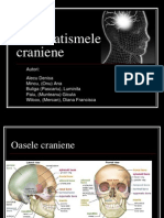 Traumatismele Craniene