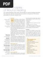 PrinciplesWoundHealing_WCCSpring2011