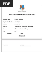 Systems Analysis and Design Assignment