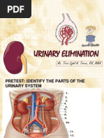 Urinary Elimination: Ma. Tosca Cybil A. Torres, RN, MAN