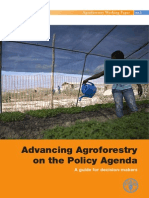 Advancing Agroforestry