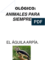 El Guila Arpa