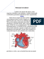 sistemul_circulator