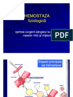 hemostaza.