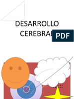 Desarrollo Cerebral