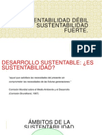 Sustentabilidad Fuerte y Debil