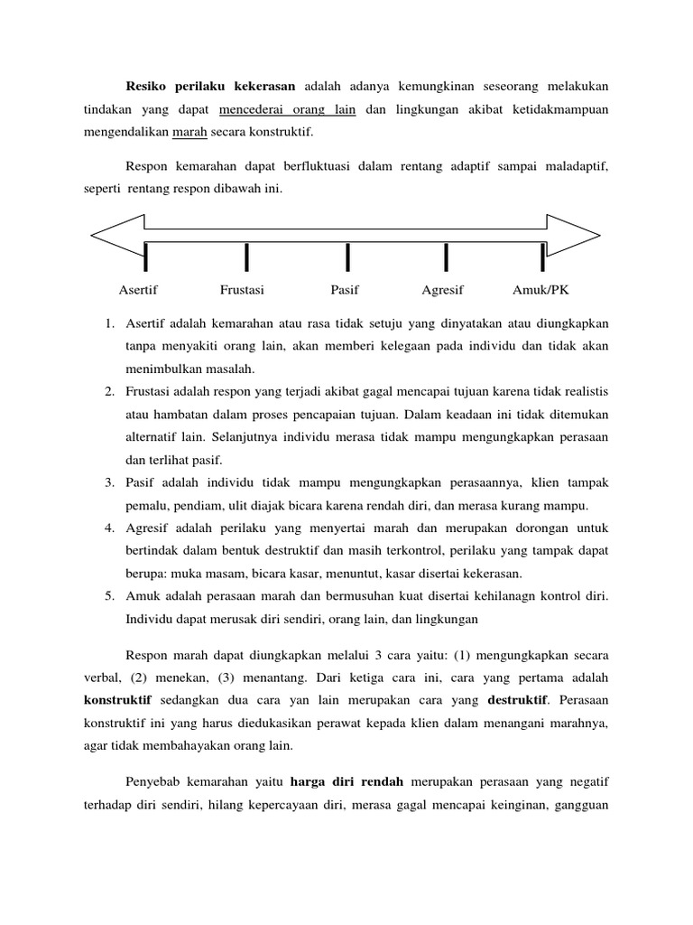 Resiko Perilaku Kekerasan Pdf