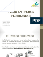 Exposición Flujo en Lechos Fluidizados