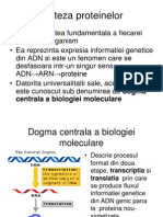 SINTEZA PROTEINELOR