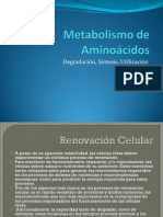 1-MetabolismodeAminoacidos