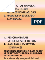 3.b.eksitasi Otot Rangka A & B