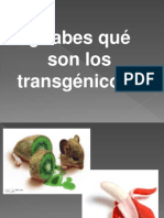 Transgenic Os