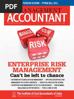 The Management Accountant October 2013 Economies Business