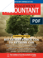 The Management Accountant-November, 2013