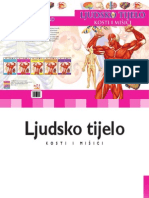 Ljudsko Tijelo - Kosti I Mišići