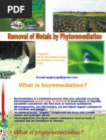 Download Removal of Metals by Phytoremediation by opgksuga5604 SN18797053 doc pdf