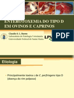 Enterotoxemia em ovinos e caprinos