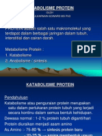 Metabolisme Protein presentation