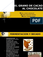 19203260 Proceso Del Cacao