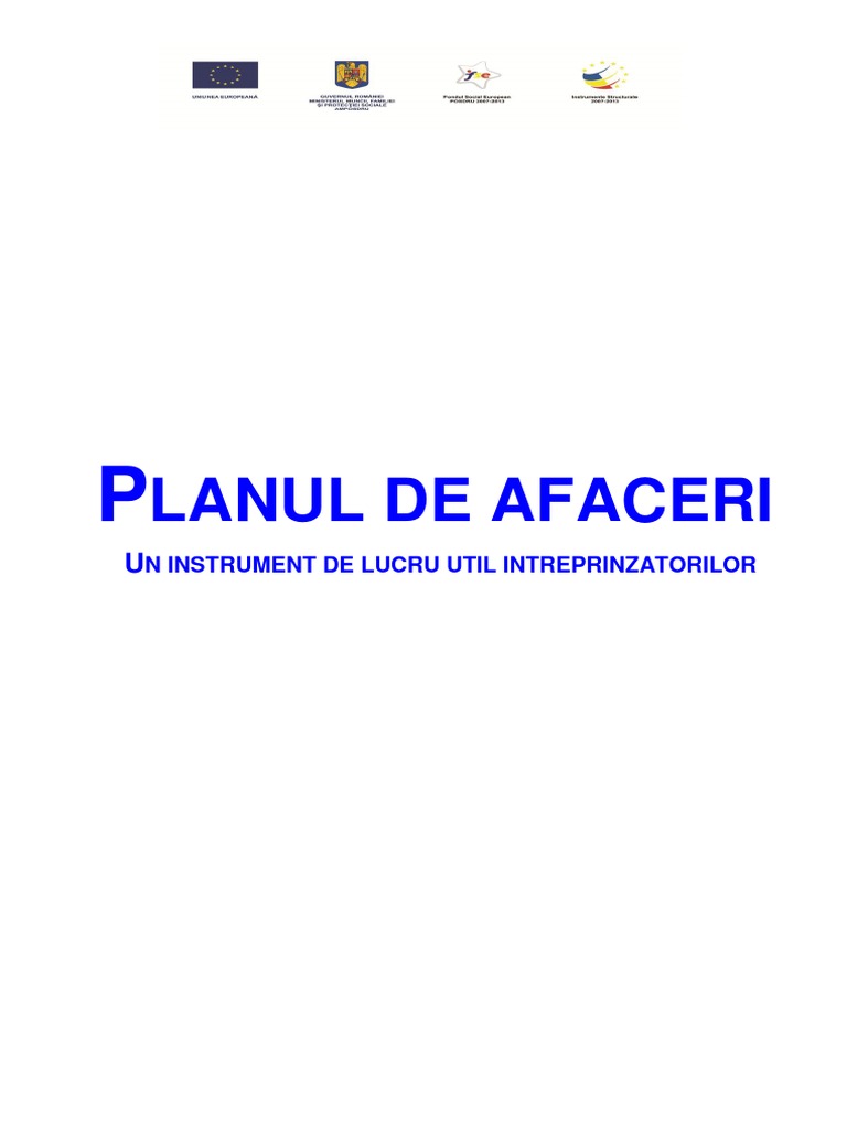 Plan de Afaceri Final