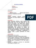 Alfacaca-Chinesa - Ocimum Gratissimum L. - Ervas Medicinais - Ficha Completa Ilustrada