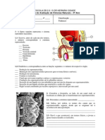 Teste de Ciências Naturais sobre Sistema Reprodutor