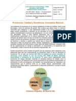 Prevención, Calidad y Excelencia. Conceptos Básicos