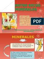 minerales.2