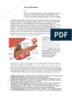 Fisiologia - Digestivo III - Secrecion Intestinal y Pancreatica