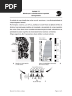 actividade-geomagnetismo