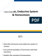 Hormones n Homeostasis WADY EDT