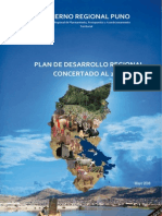 Consolidado Plan Concertado REGION PUNO 2021