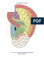 Auriculoterapia Unificada - 1