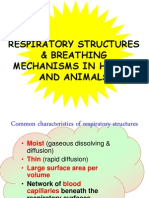 Respiratory Structure&Breathingmechanisminhuman&Animal