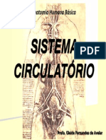 Sistema Circulatório