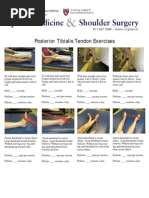 Shin Splints Rehab Exercises Guide | PDF