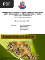 Sociabilidade Em Abelhas