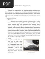 Download Kenampakan Alam Dan Buatan by Rizca Dwi Jayanti SN188143693 doc pdf