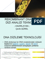 Dna Di̇zi̇ Anali̇zi̇ Teknoloji̇si̇