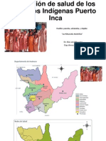 Situación de salud de los pueblos Indígenas Puerto