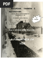 A vila de Salvaterra de Magos - 2ª edição