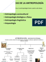 Clasificación de La Antropologia