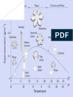 Cal Tech Snowflakes