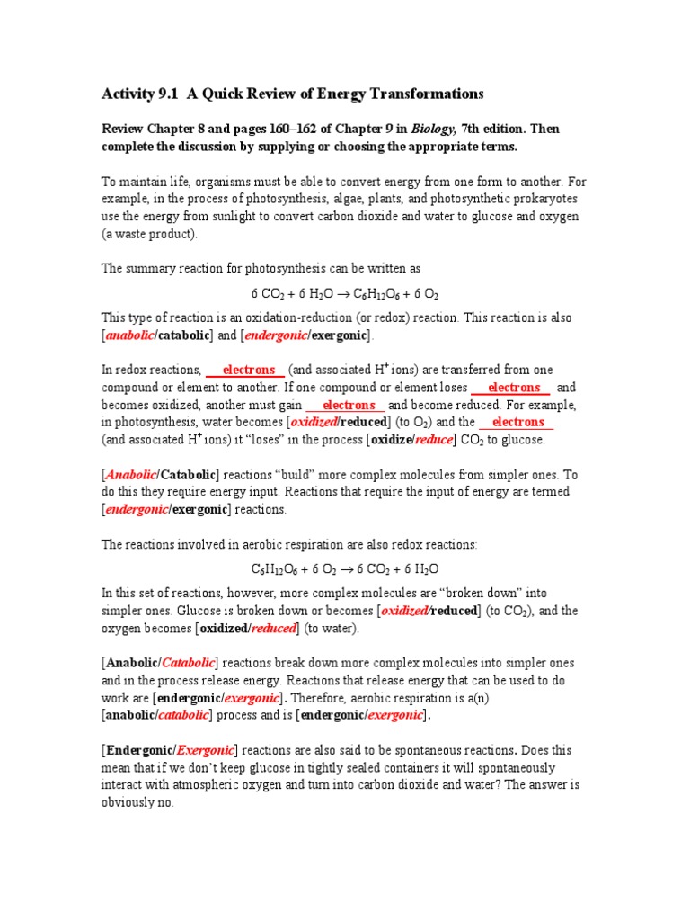 Fermentation for kids picture