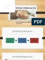 Encefalomalacia Final Final 44