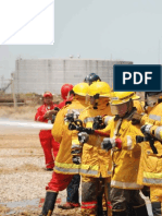 Seguridad Pdvsa