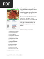 Download Gracilariadoc by Hullia Ratu Tiara SN188264182 doc pdf